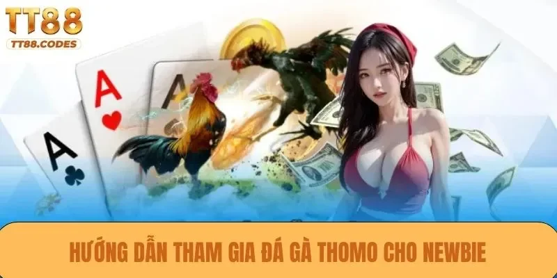 Hướng dẫn tham gia đá gà Thomo cho newbie