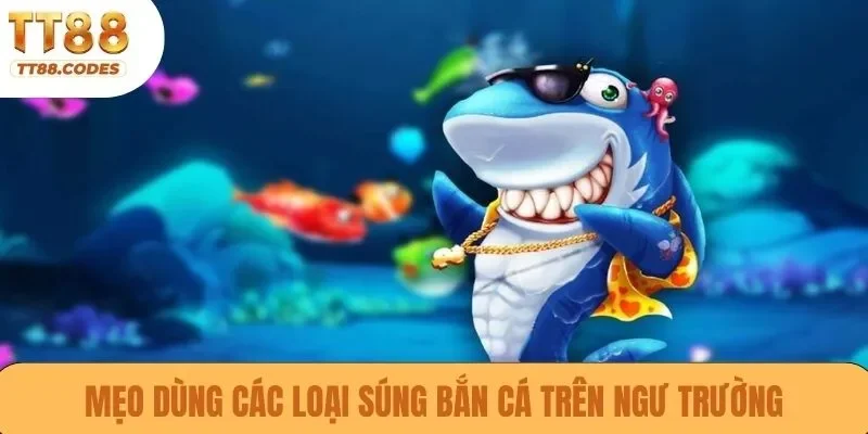 Mẹo dùng các loại súng bắn cá trên ngư trường